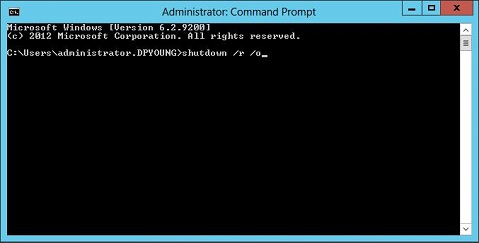 SLN164148_en_US__7I_COMMANDPROMPT_JP_V1a