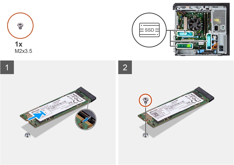 Dell 3650 和 3650 XE Precision 工作站固态驱动器（SSD）