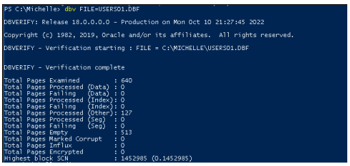 輸出顯示未損壞的檔案