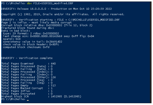 output, der viser beskadiget fil
