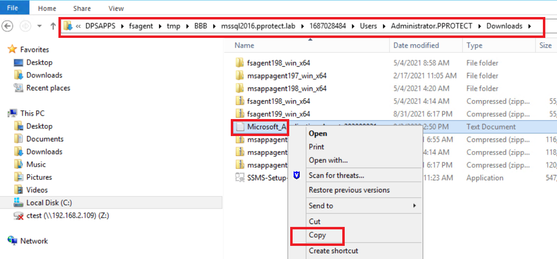 Placering af screenshot-filadresse