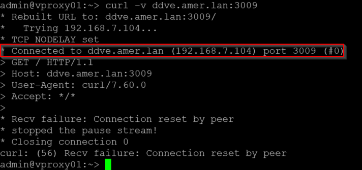 Exemplo de resposta de comando curl