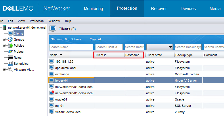 NetWorker Management Console 视图