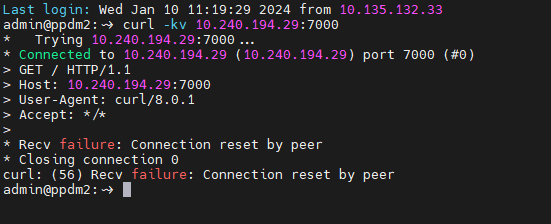 run サービスでポートを開くと、次のものが返されます。