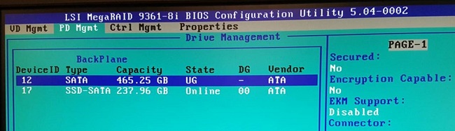 HOW11993_tr__2LSI MegaRAID BIOS PD Mgmt screen