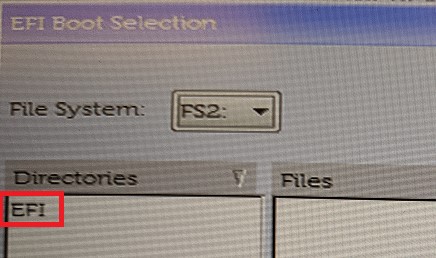 选择 EFI