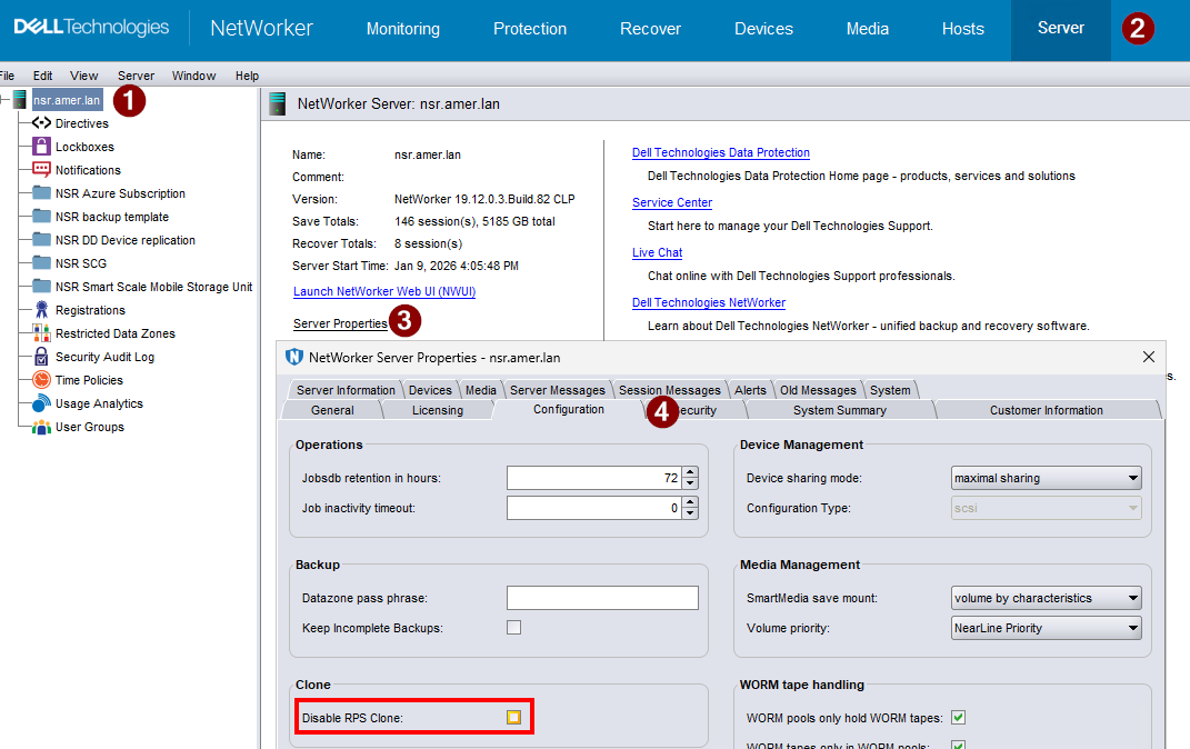 Example of enabling RPS cloning