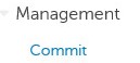 Klikněte na možnost Management, poté na tlačítko Commit a potvrďte změny zásady