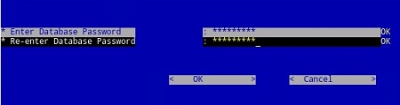 Actualizar contraseña de base de datos