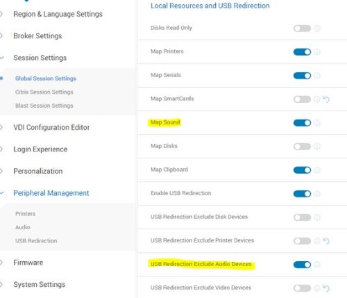 Enable Map Sound and Enable USB Redirection Exclude Audio Devices
