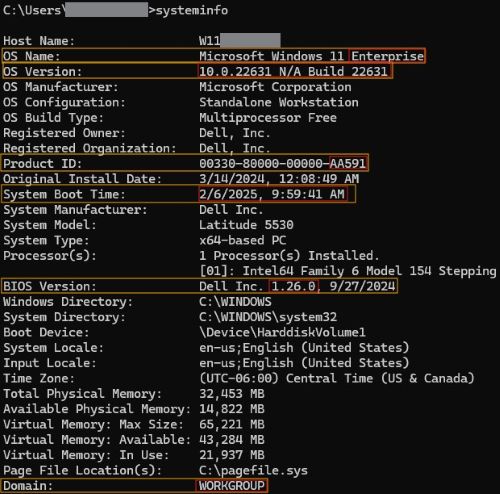 Выходные данные Systeminfo