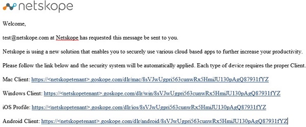 Example email message from Netskope.