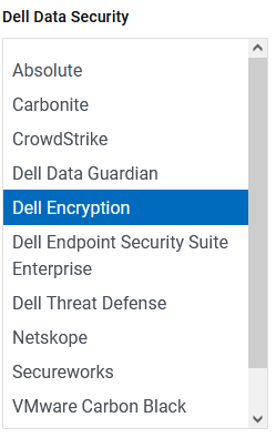 Dell 加密選項