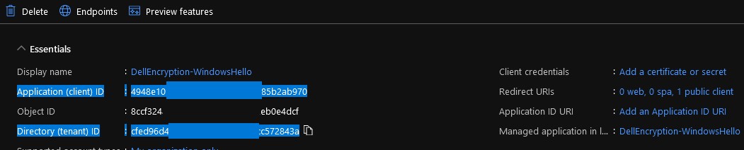 Application (client) ID and Directory (tenant) ID