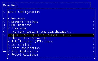 Actualización de DDP Enterprise Server - VE