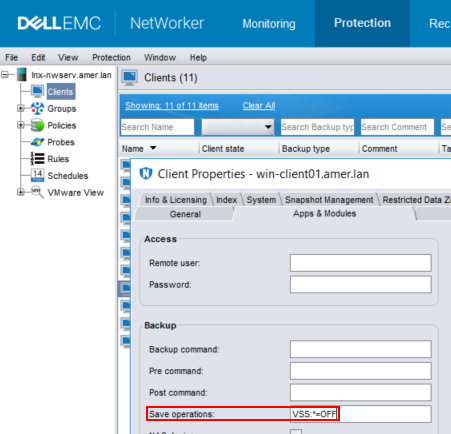NetWorker: Windows Client Failing With "The process cannot access the ...