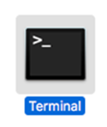 Terminal