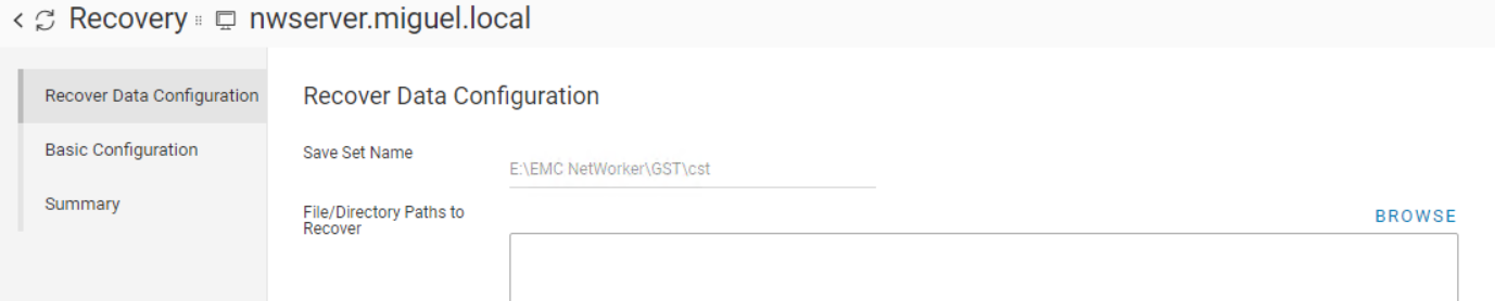 NWUI-Recovery-Assistent zeigt BROWSE-Option an