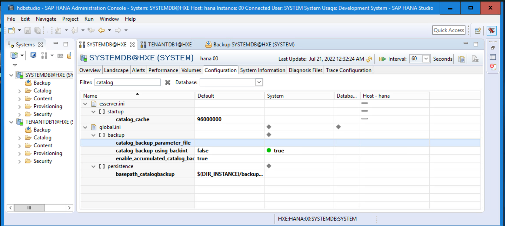 NetWorker How to take backup of "Backup Catalog" of SAP HANA. Dell US
