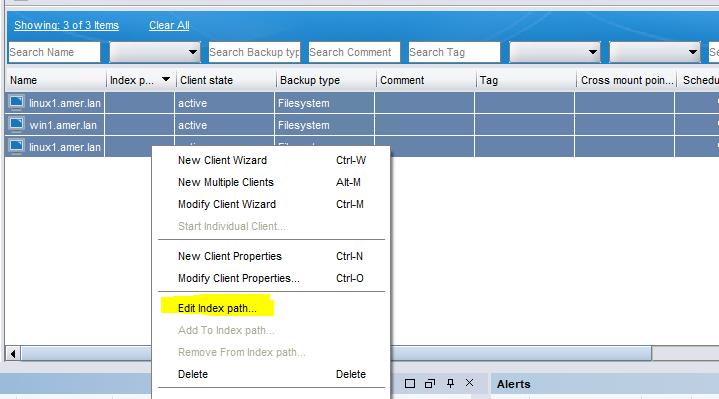 Fare clic sulla colonna Modifica percorso indice per il percorso dell'indice