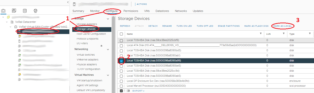 使用 vSphere 在 ESXi 主机上将磁盘标记为本地磁盘