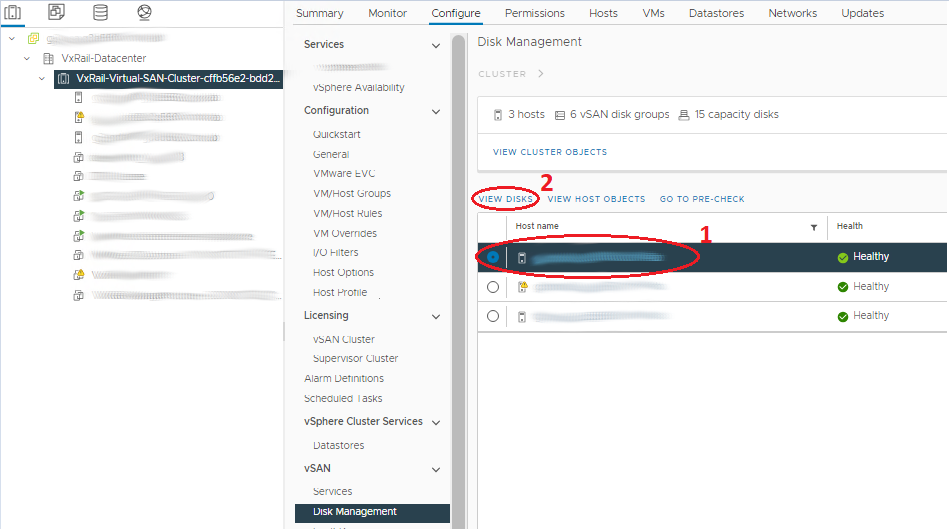 在 vSphere 上导航到 Esxi 主机上的 vSAN 磁盘