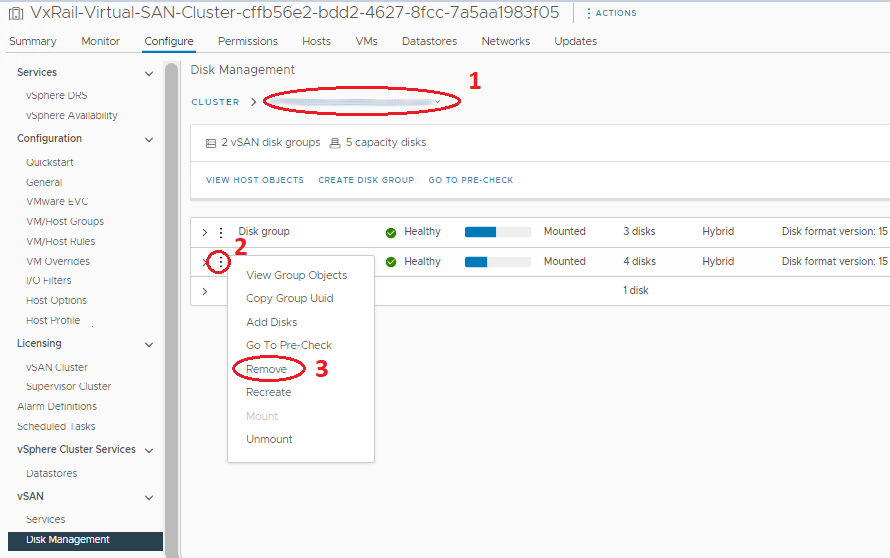 使用 vSphere 从 Esxi 主机中移除 vSAN 磁盘组