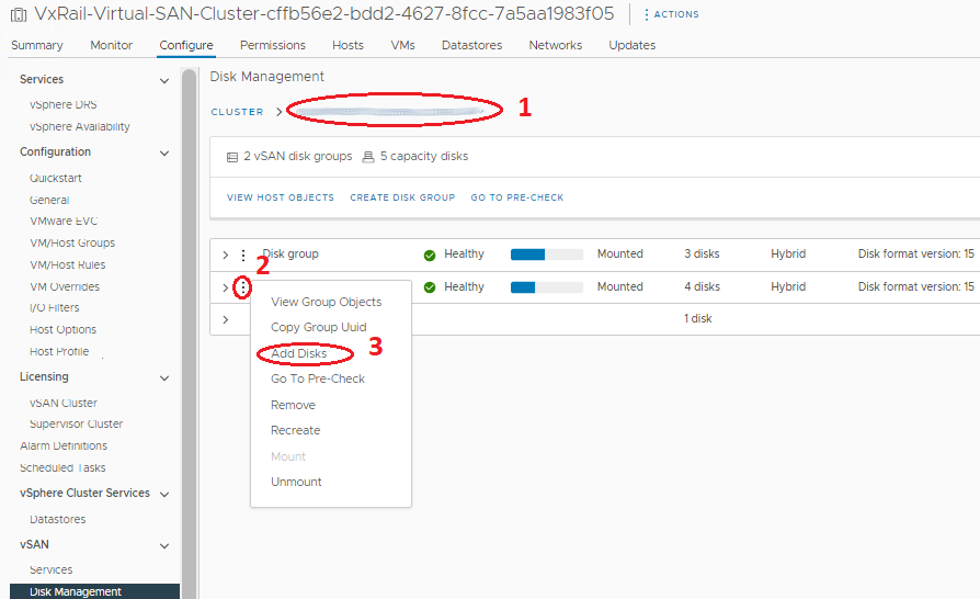 VSphere kullanarak vSAN disk grubuna disk ekleme