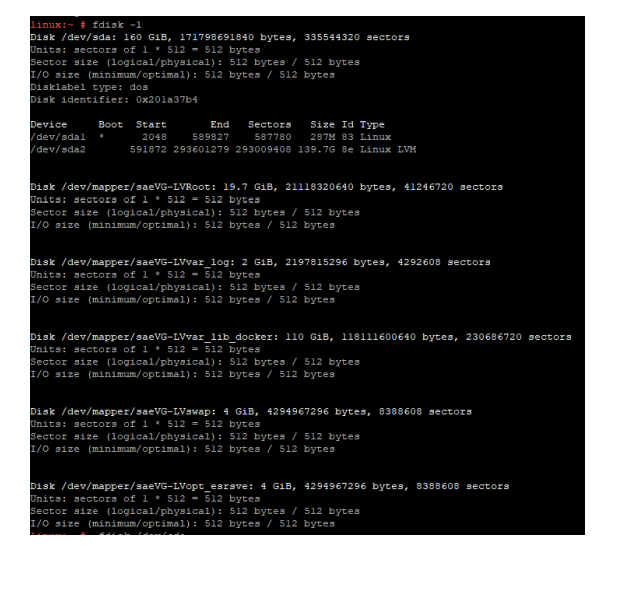 Executing command: fdisk -l