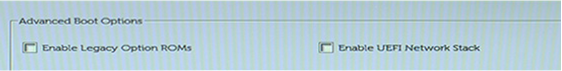 Dell BIOS Advanced Boot Options