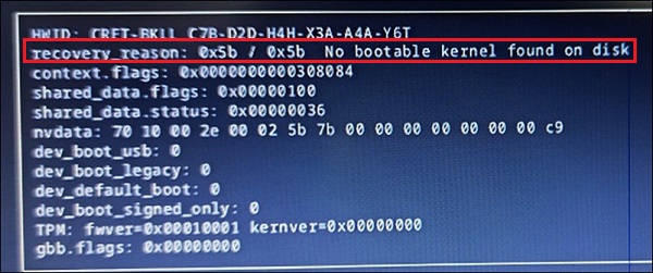 「recovery_reason」コード:0x5b
