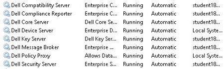 Services Dell Data Security