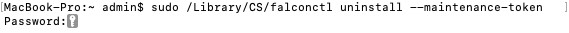 Terminal com o comando preenchido e inserido