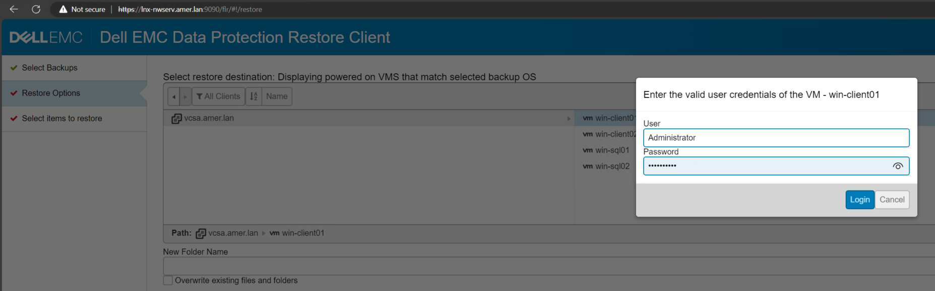 Data Protection Restore Client FLR mount credential prompt