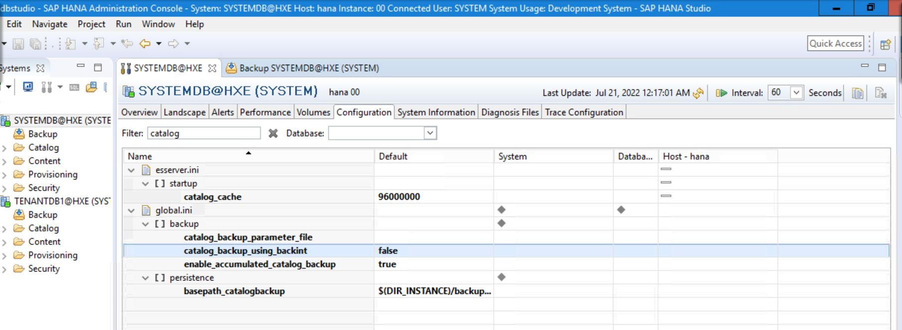 NetWorker How to take backup of "Backup Catalog" of SAP HANA. Dell US