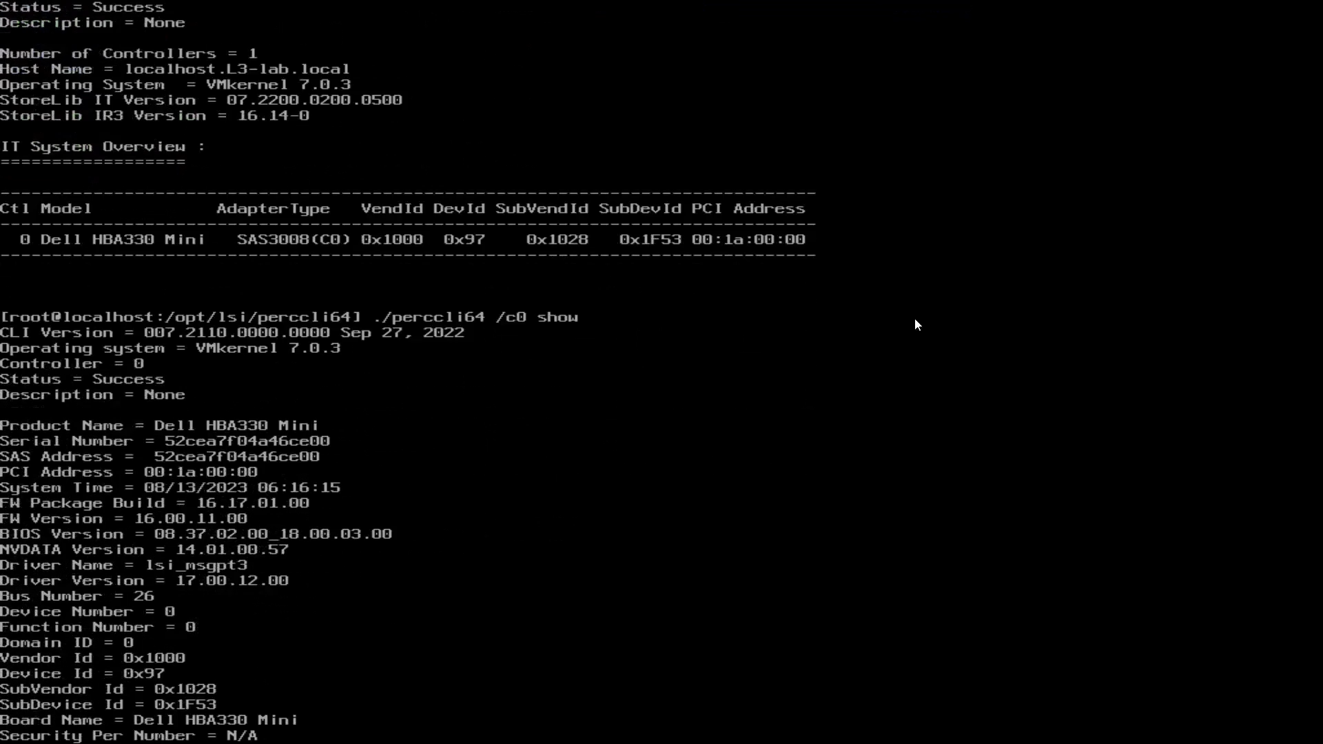 Запуск команд PERCCLI в командній оболонці ESXi.