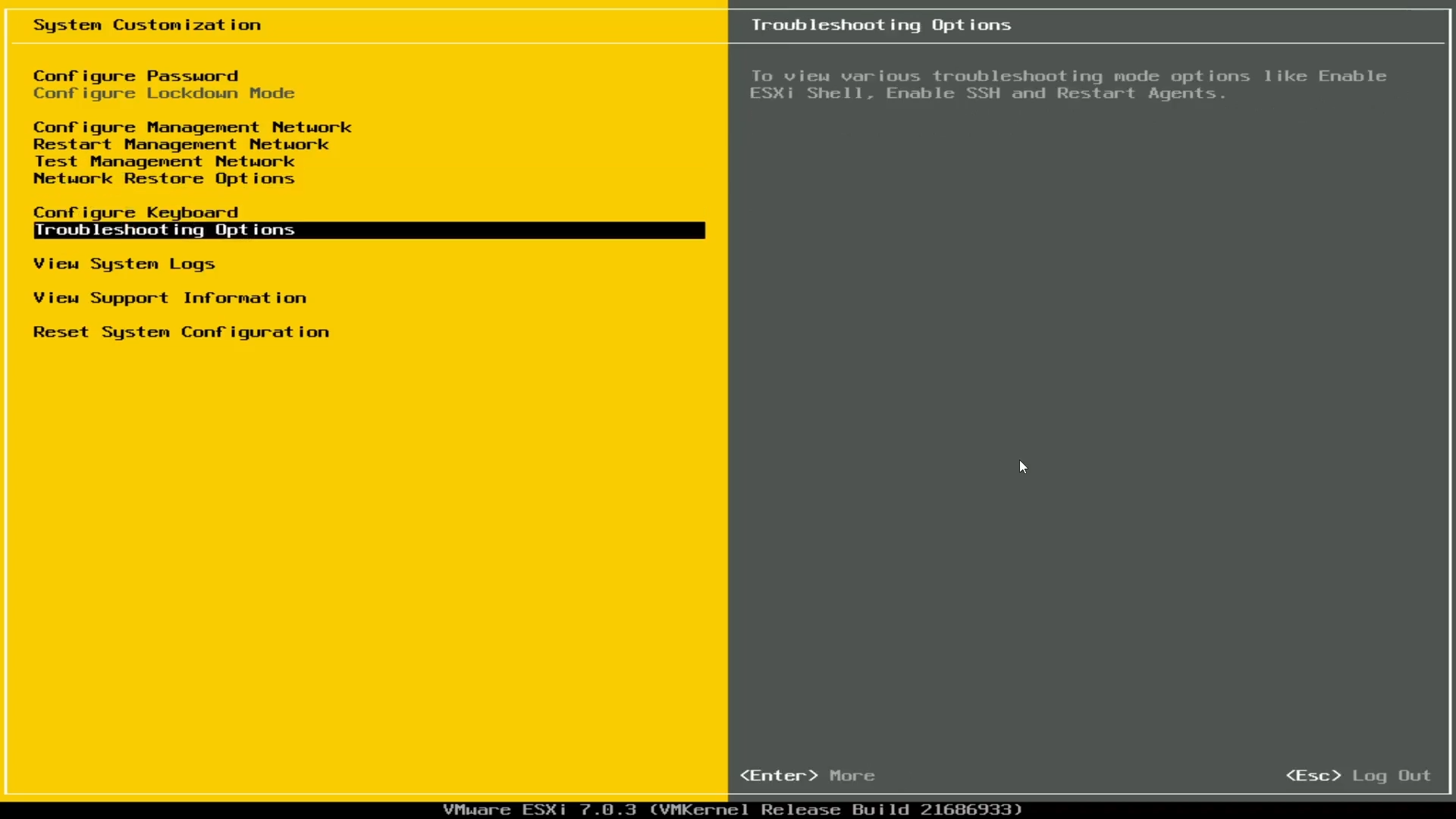 Opzioni di risoluzione dei problemi ESXi.