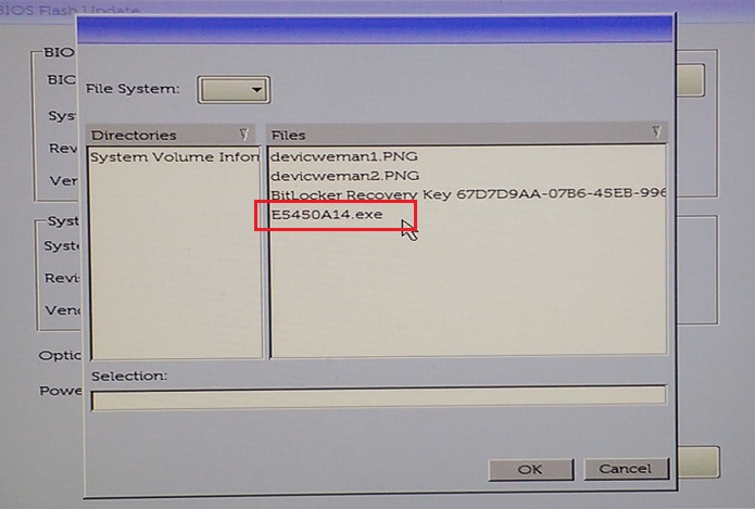 select the bios update file from the usb flash drive