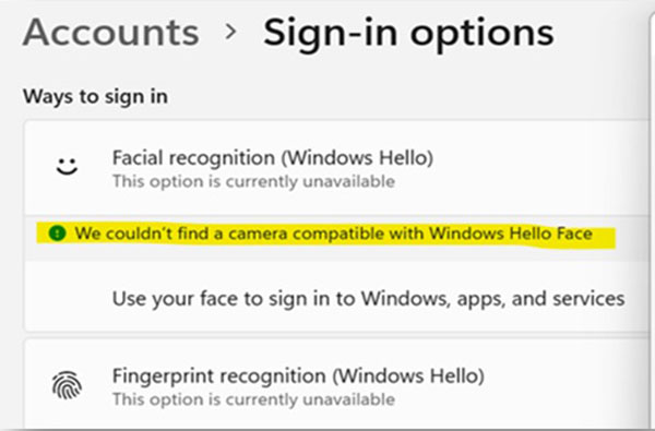 屏幕上的Windows Hello错误消息