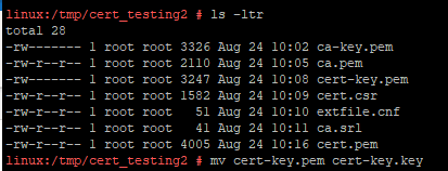 Rename the key file to satisfy SCG