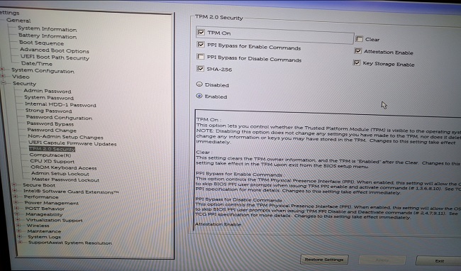 Example of TPM BIOS settings