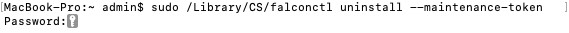 Terminal com o comando preenchido e inserido