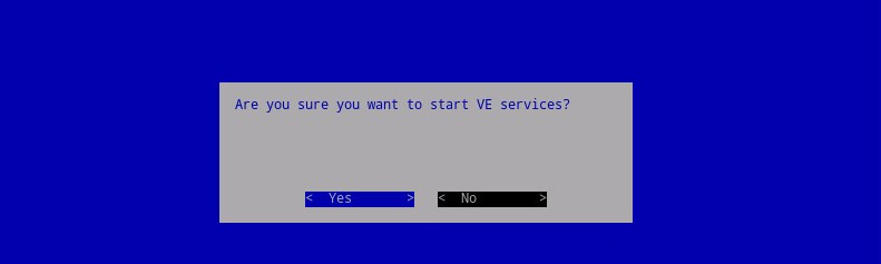 Wählen Sie Yes aus, um die VE-Services zu starten