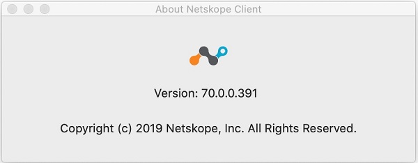 Version i Om Netskope-klient