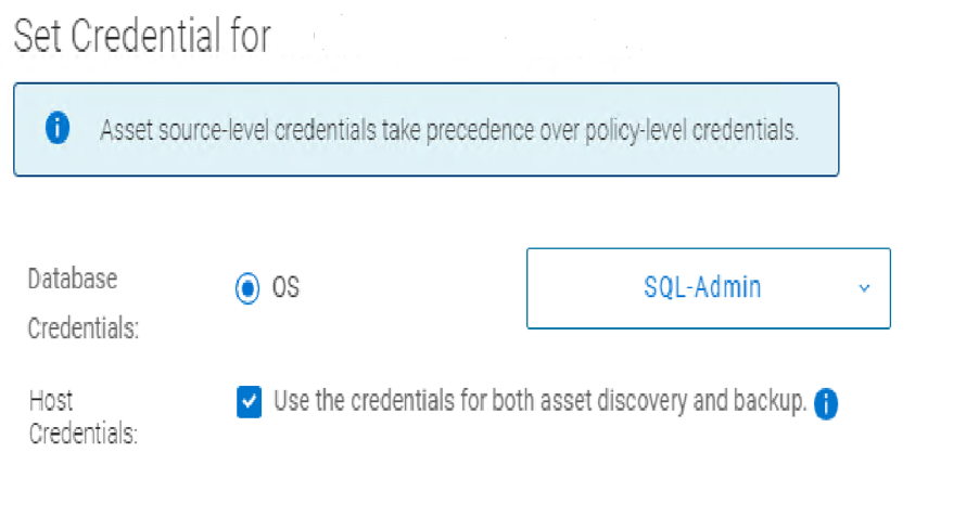 Screenshot of Set Credentials page in PPDM