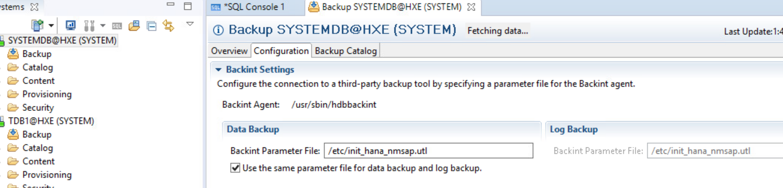 1.5 Notieren Sie den Namen der Backint-Parameterdatei und ihren Speicherort auf dem Client.