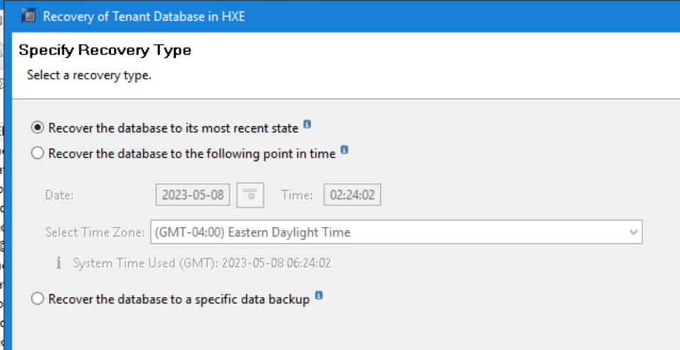 3.3 Nella pagina Specify Recovery Type, selezionare l'opzione in base al requisito e cliccare su Next:
