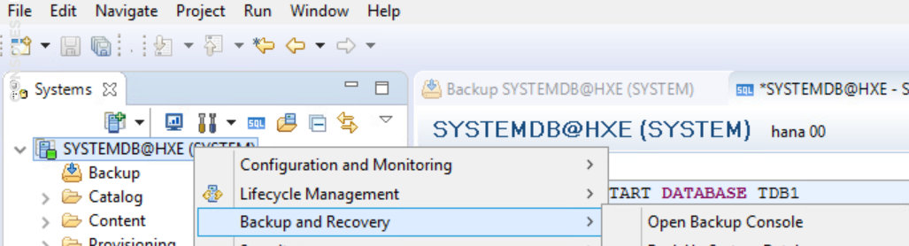 1.3 Abrir o console de backup