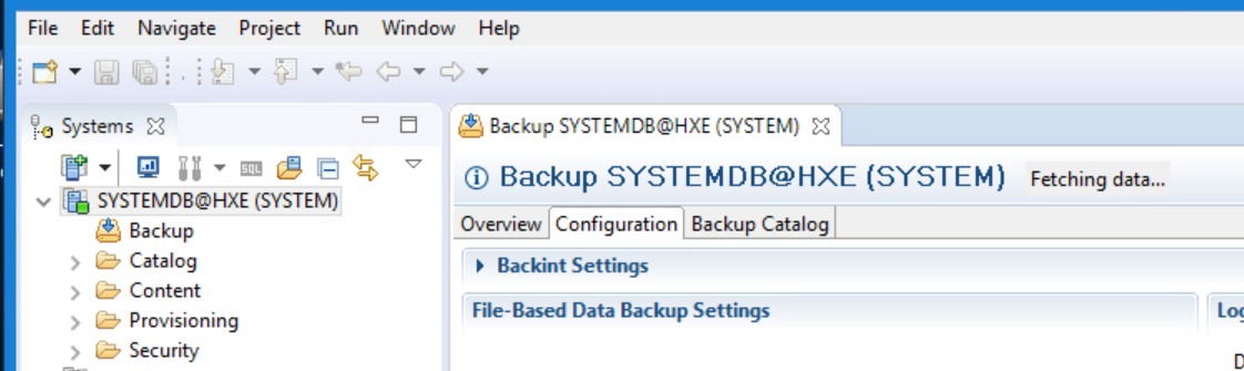 1.4 展开 Configuration 选项卡下的“Backint Settings”。