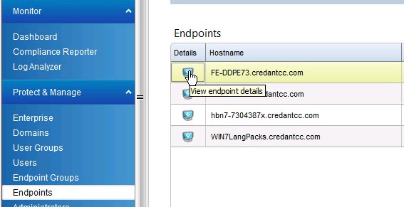 Click Endpoint details